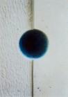 <p><strong>Sardegna Fordongianus (OR) 2003</strong><br /> Simposio Internazionale Scultura su Pietra Trachite Verde</p>